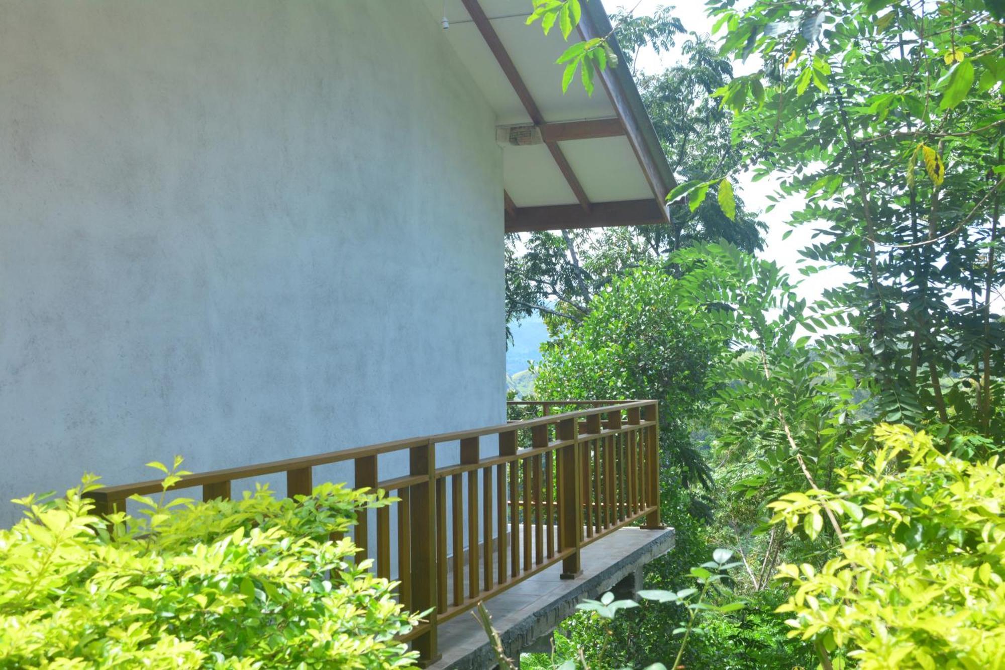אלה Racy Nature Cottage מראה חיצוני תמונה
