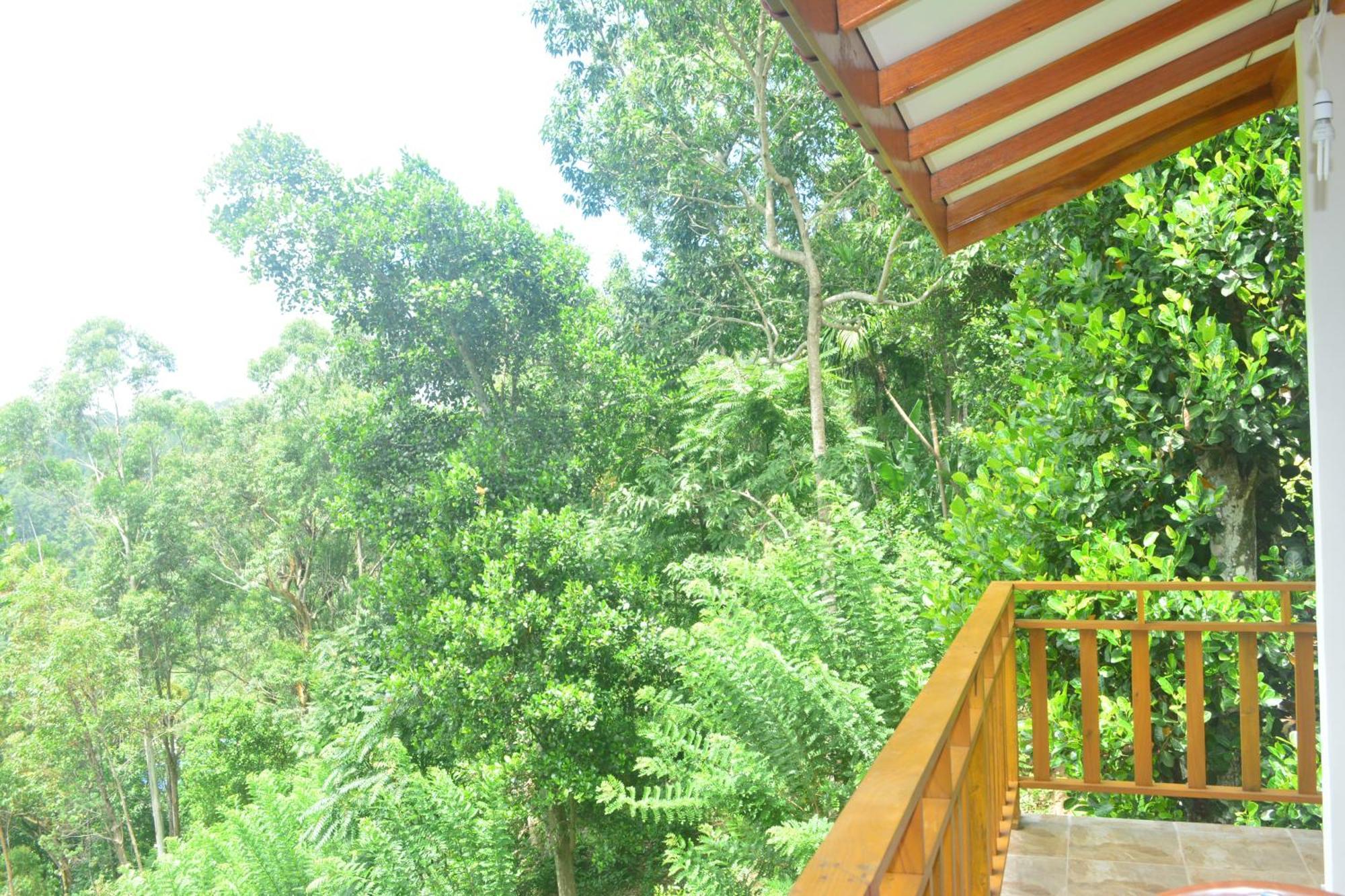 אלה Racy Nature Cottage מראה חיצוני תמונה