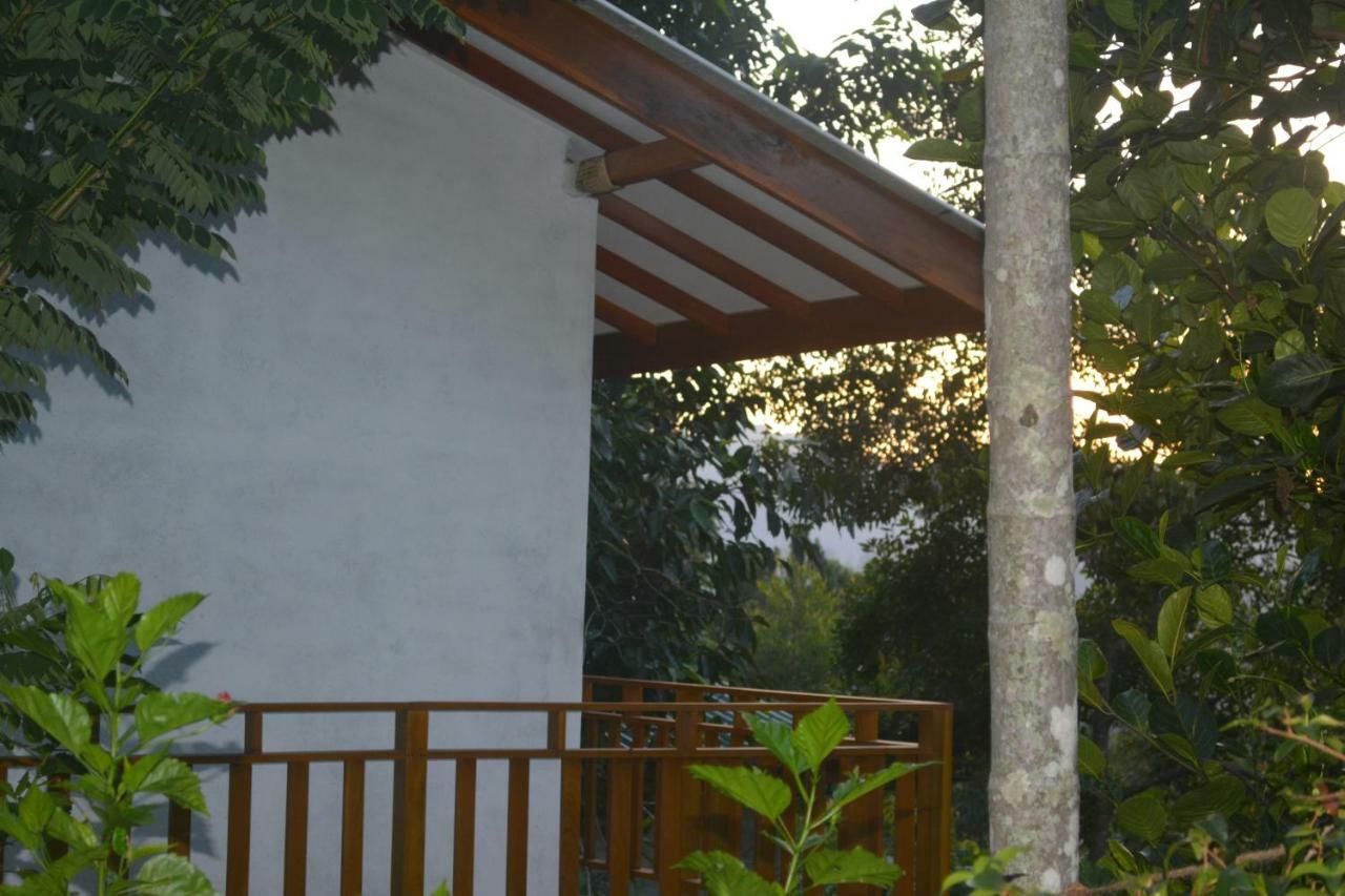 אלה Racy Nature Cottage מראה חיצוני תמונה